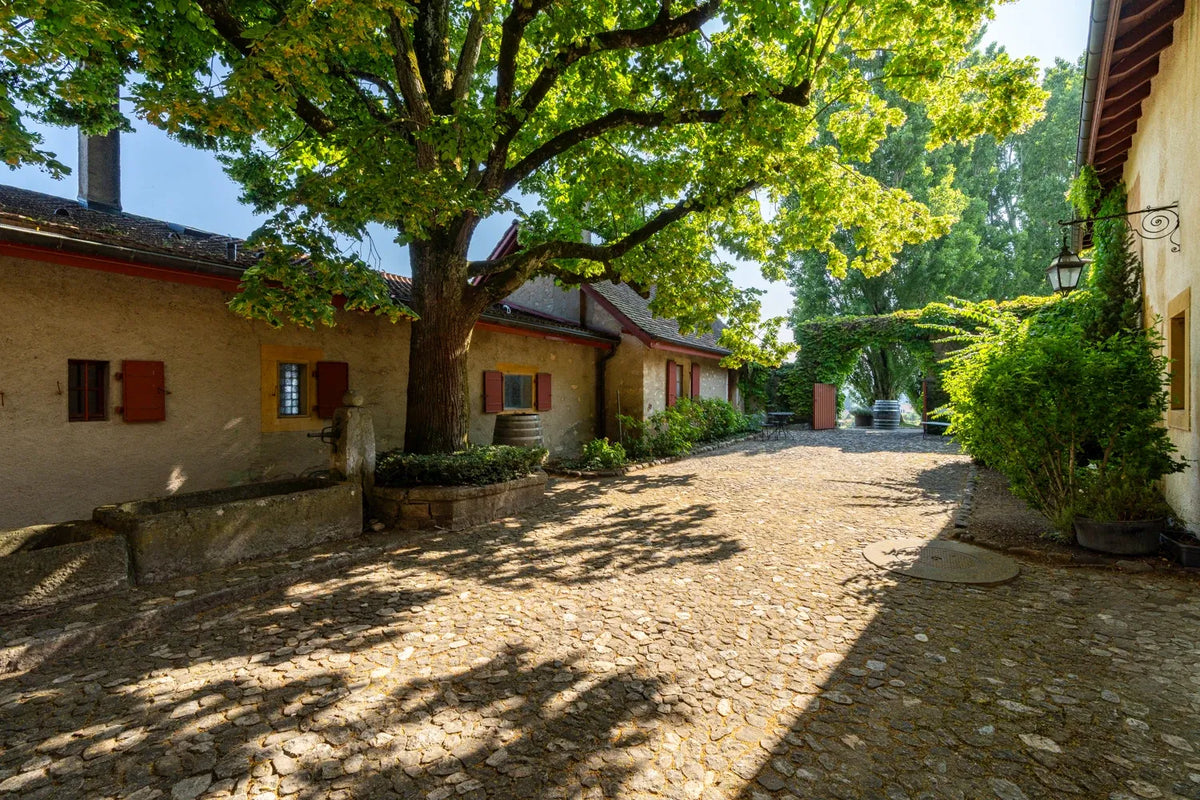 L’Abbaye de Bevaix